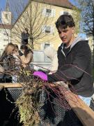 Hochbeet2