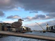 Dublin-City