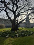 Trinity-College
